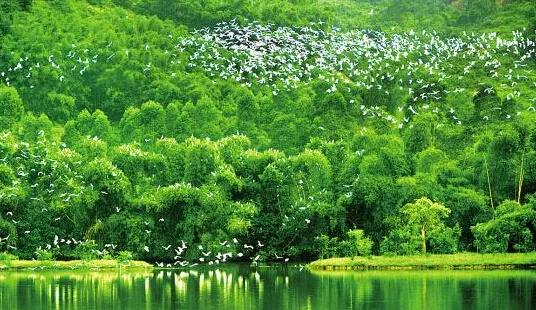 1526880794663973.jpg 微信圖片_20180521133444.jpg