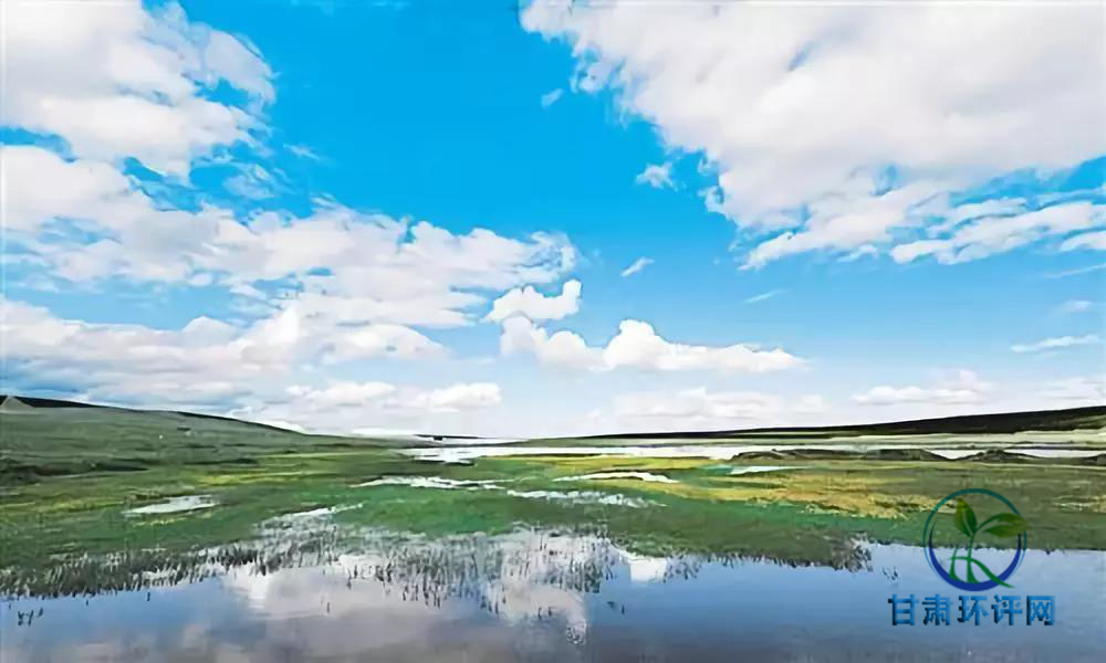 1529994881539478.jpg 02.jpg