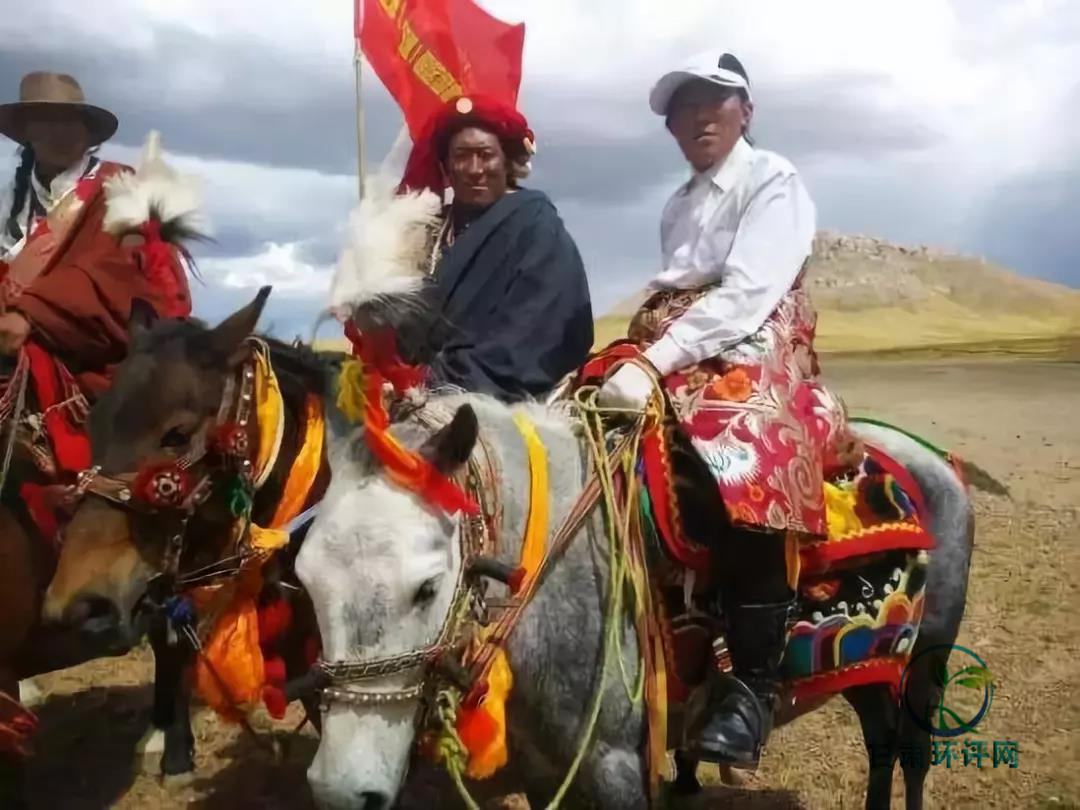 1529995103652856.jpg 04.jpg